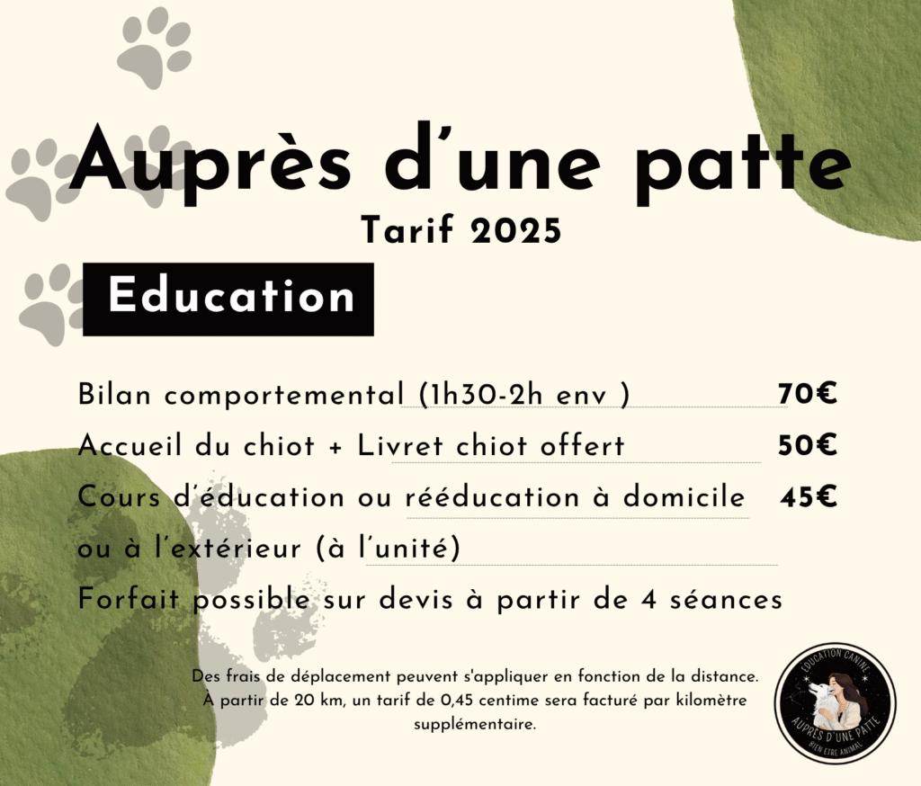 éducation canin